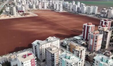 Herkes sattı, o direndi! Betonun ortasında bakın ne yapıyor