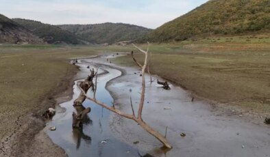 İstanbul’a neden kar yağmıyor? Uzmanı tek bir nedene bağladı