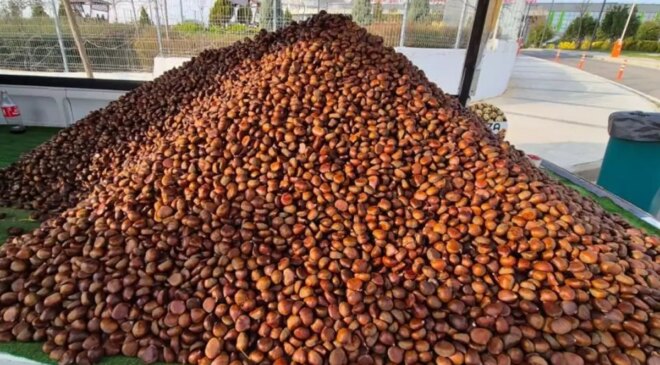 Kilosu 175 liradan, günde 600 kilo satıyor! Havaların soğumasıyla yıldızı parladı