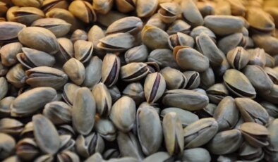 Resmi Gazete’de yayımlandı! Antep fıstığıyla ilgili önemli karar