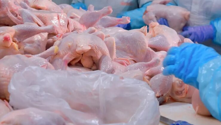 Türkiye’nin dev tavuk markası konkordato ilan etti