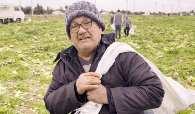 İsyan edip tüm ekini bedava dağıttı, duyan çuval çuval topladı! Bir günde bitti