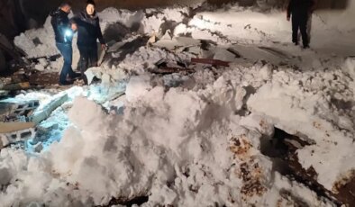 Siirt’te karın ağırlığıyla 3 ahırın çatısı çöktü; çok sayıda hayvan öldü