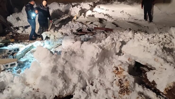 Siirt’te karın ağırlığıyla 3 ahırın çatısı çöktü; çok sayıda hayvan öldü