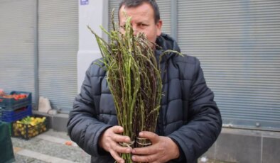 Halk arasında ‘acı ot’ diye biliniyor, faydaları saymakla bitmiyor