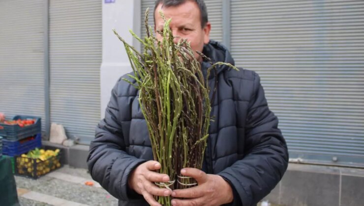 Halk arasında ‘acı ot’ diye biliniyor, faydaları saymakla bitmiyor