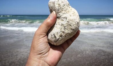 Sıradan bir taş gibi gözüküyor, sahillerde bulan köşeyi dönüyor