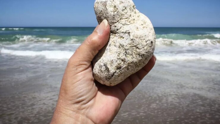 Sıradan bir taş gibi gözüküyor, sahillerde bulan köşeyi dönüyor