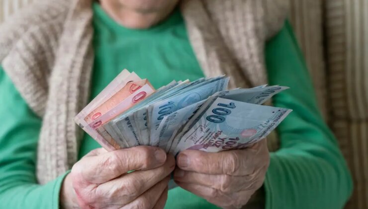 Vatandaşlık maaşında detaylar netleşti! İşte yardım yapılacak kalemler