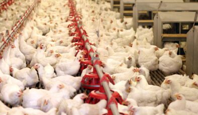 Bir dönemin ihracat şampiyonuydu: 40 yıllık marka icradan satışa çıkarıldı