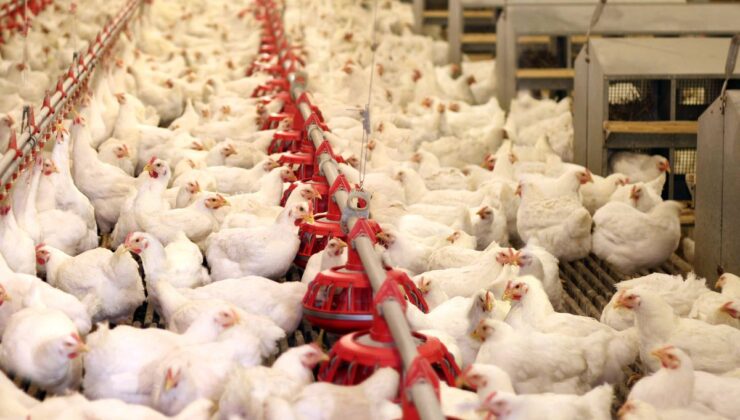 Bir dönemin ihracat şampiyonuydu: 40 yıllık marka icradan satışa çıkarıldı