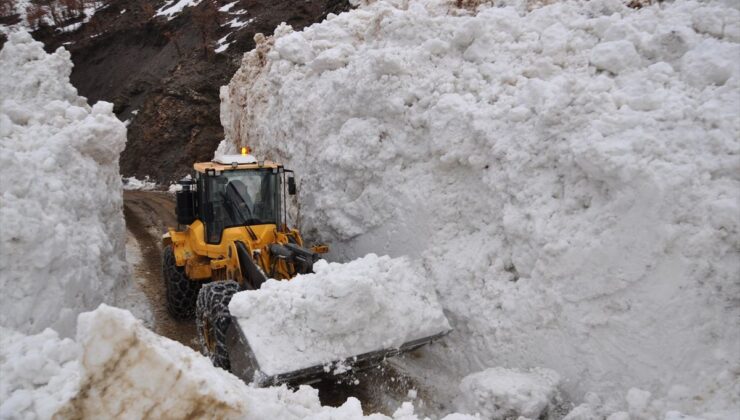 Bitlis’te çığın düştüğü köy yolunda çalışma başlatıldı