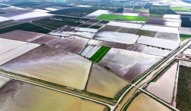 Çukurova’yı yağmur vurdu: Tarım arazileri sular altında