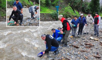 Dere yatağında ortaya çıkıyor, tasını kapan avuç avuç topluyor