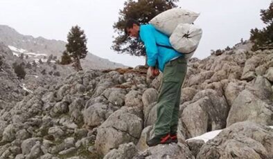 Kilosu 300 liradan satılıyor! Günde 21 bin lira kazanan var