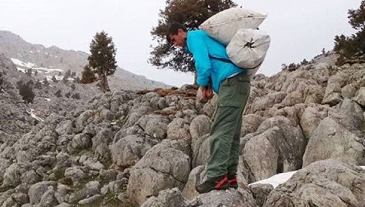 Kilosu 300 liradan satılıyor! Günde 21 bin lira kazanan var