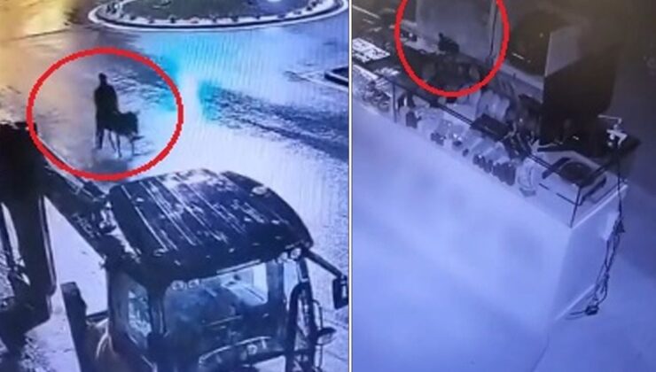 Milyonluk vurgun yapıp eşekle kaçtı: İşte istenen ceza