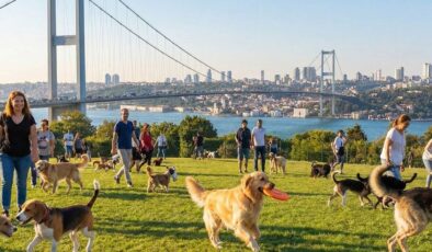 Zengin semtinde yaptığı işten 150 bin lira kazanıyor: Okumayın, iş kovalayın