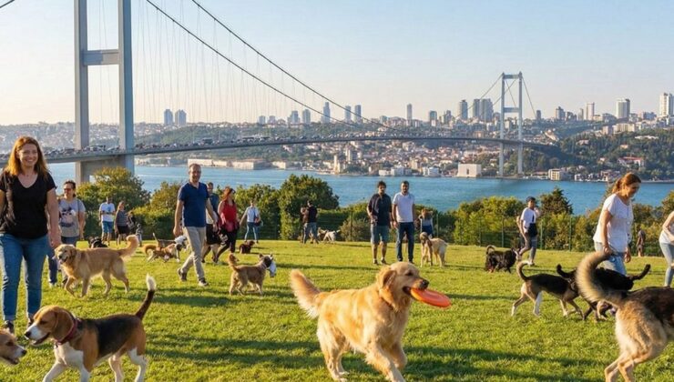 Zengin semtinde yaptığı işten 150 bin lira kazanıyor: Okumayın, iş kovalayın