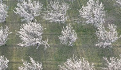 Akdeniz değil Doğu’nun Çukurova’sı! Görüntüler mest etti