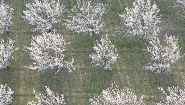 Akdeniz değil Doğu’nun Çukurova’sı! Görüntüler mest etti