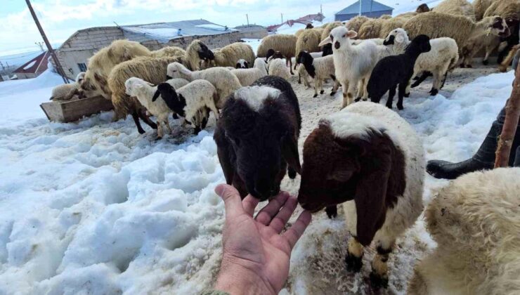 Aydınlar beldesinde iki mevsim bir arada yaşanıyor