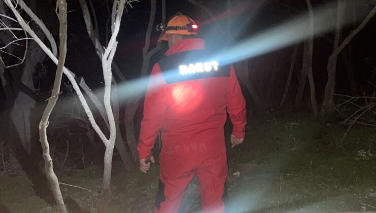 Bitlis’te kaybolan 5 yaşındaki çocuğu bulmak için arama çalışması başlatıldı