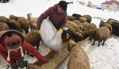 Bitlis’te nisan karı, besicileri zor durumda bıraktı