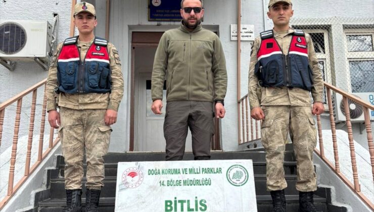 Bitlis’te yasa dışı av yapan 2 kişiye ceza kesildi