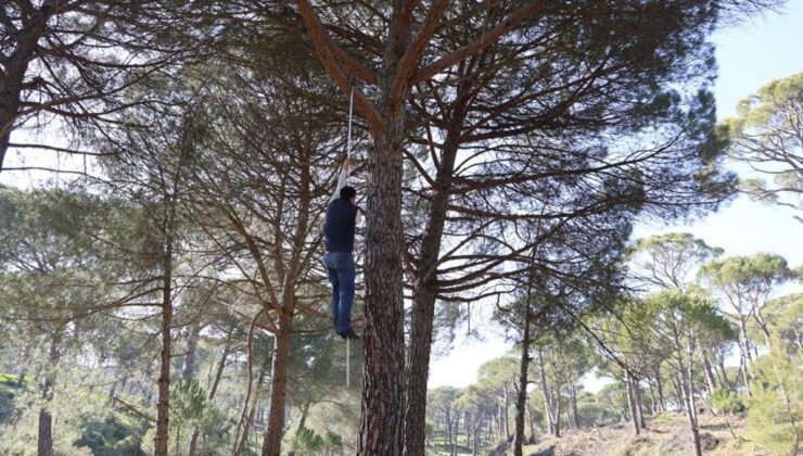 “Örümcek Adamlar” iş başında