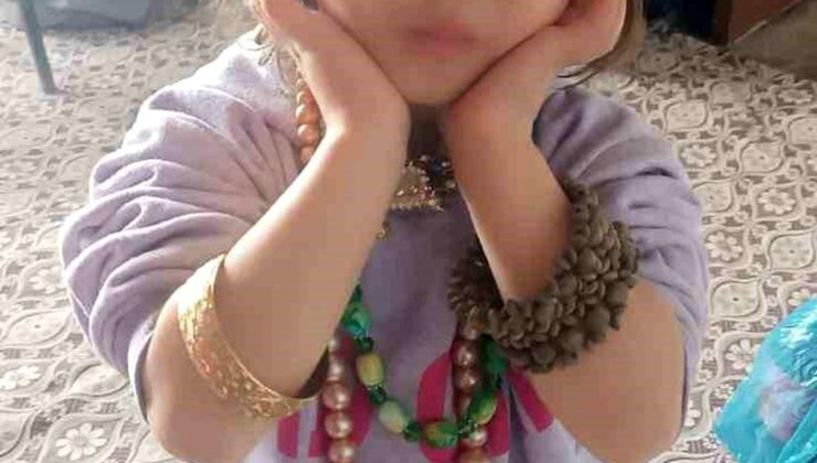 Hizan’da kayıp kız çocuğu için arama çalışması başlatıldı