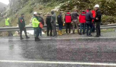 Tatvan’da beton mikseri dereye uçtu