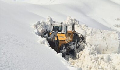 Van, Bitlis ve Muş’ta karla mücadele çalışmaları sürüyor