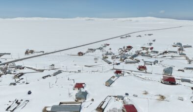 Van ve Bitlis’in kırsal bölgelerinde zorlu kış şartlarıyla mücadele sürüyor