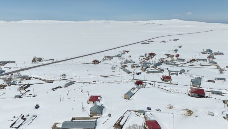 Van ve Bitlis’in kırsal bölgelerinde zorlu kış şartlarıyla mücadele sürüyor