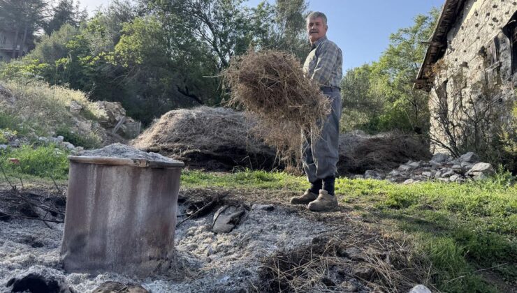 Toroslar’dan topluyor, Avrupa’dan bile sipariş yağıyor! Gramı 18 TL’ye kadar çıkıyor