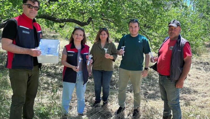 Ve "samuraylar" göreve başladı