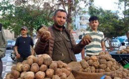 Görüntüsü patates gibi olsa da lezzeti çok başka: Kilosu 2 bin TL’den kapış kapış gidiyor