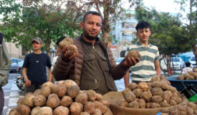 Görüntüsü patates gibi olsa da lezzeti çok başka: Kilosu 2 bin TL’den kapış kapış gidiyor