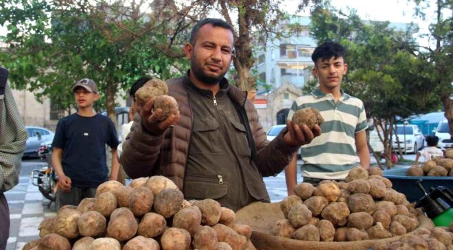 Görüntüsü patates gibi olsa da lezzeti çok başka: Kilosu 2 bin TL’den kapış kapış gidiyor